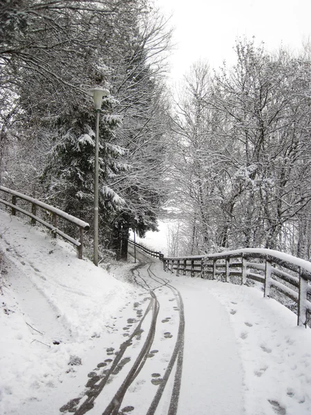 Besneeuwde winter forest en gekartelde brede paden. kerstochtend. — Stockfoto