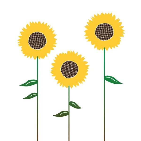 Sunflower's silhouettes, isolated on white — Stock Vector