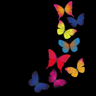 Kelebekli vektör arkaplanı