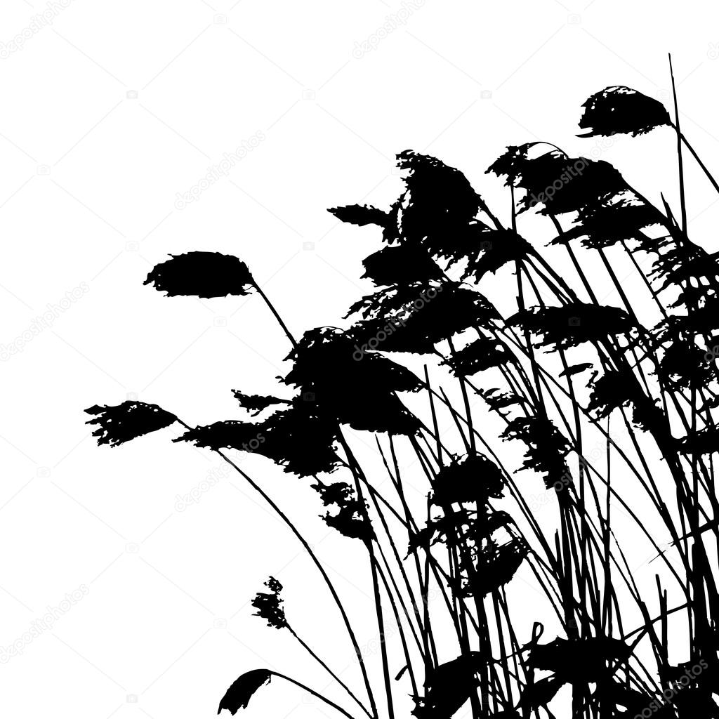 真草剪影-矢量图-两种颜色图库矢量图©lakalla 70637287, image size:1024x1024