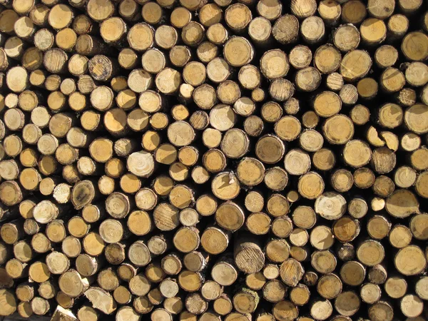 Wood textures — Stock Photo, Image