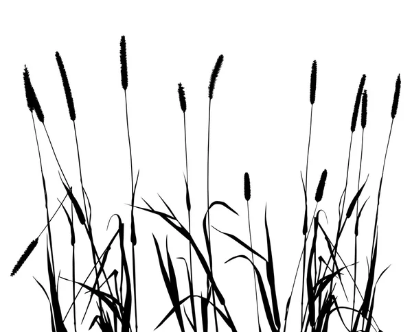 Collection pour les concepteurs mauvaises herbes — Image vectorielle
