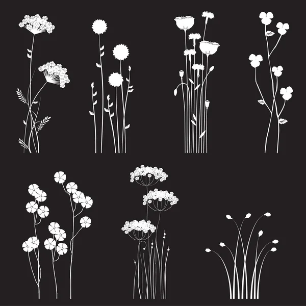 Fleurs sauvages en fleurs séparées sur un fond noir — Image vectorielle