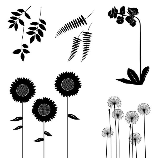 Collection, for designers, plant vector set — Stock Vector