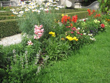 çiçekler. Yaz Bahçesi. bitkiler üzerinde renkli Bahçe