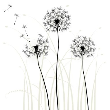 Abstract background with dandelions vector