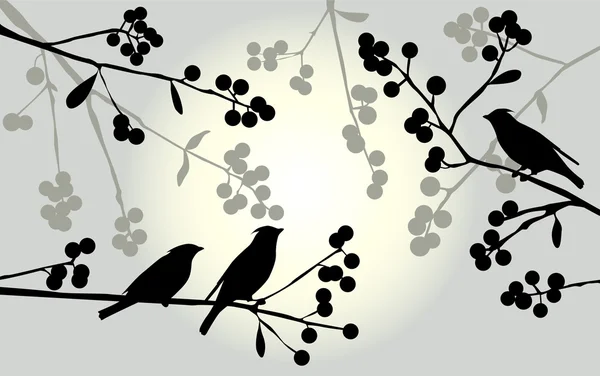 Birds on the branch - set of vector elements — Stock Vector