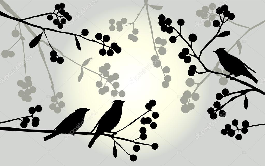 Birds on the branch - set of vector elements