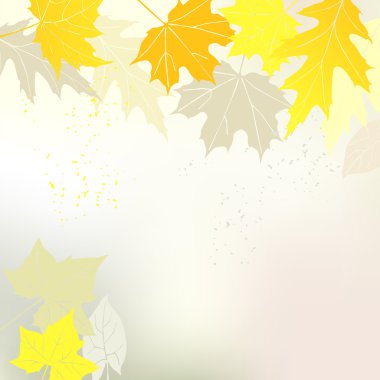 Sarı yaprakları ve bir metin - ve bir alan ile sonbahar arka plan