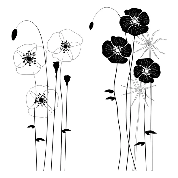 Vadon élő növények, Pipacsok, és pitypang - vektor-illusztráció — Stock Vector