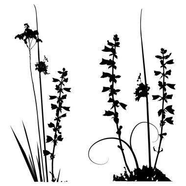 Siyah ve beyaz izlemeli bitkiler siluetleri koleksiyonu için tasarladığımız