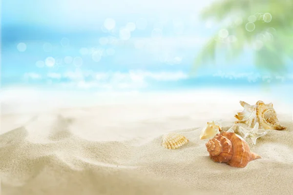 沙子里的小弹壳观看阳光灿烂的热带海滩 — 图库照片