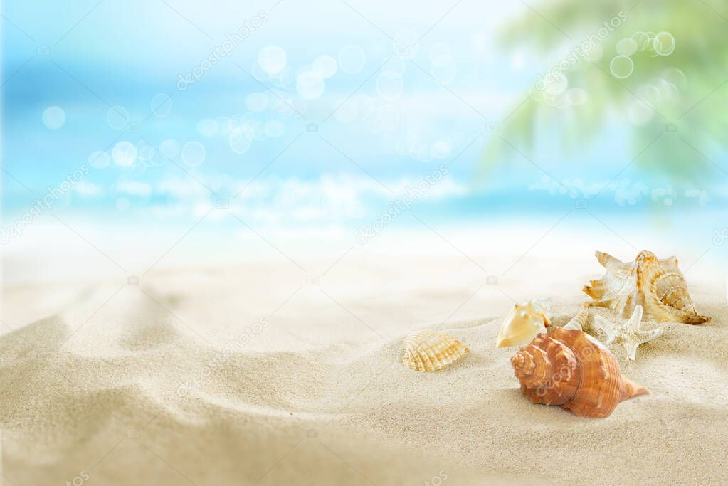 Small shells in the sand. View of the sunny tropical beach. Summer day. 