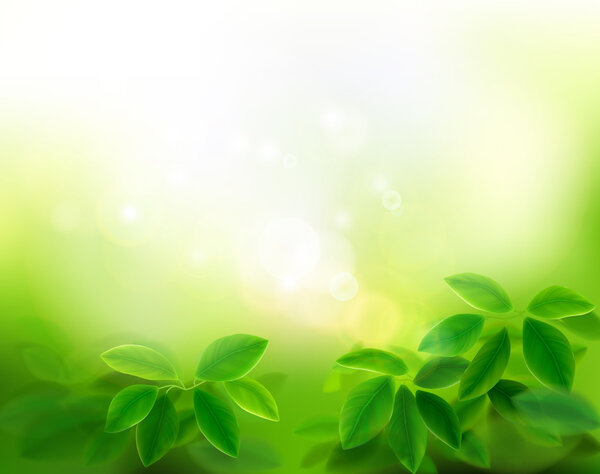 Сад на солнце. Векторная иллюстрация
.