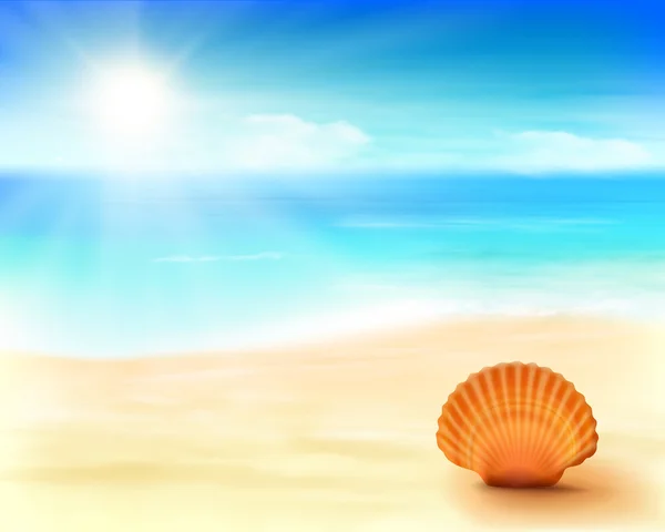 Shell on the beach. Vector Illustration. — Stock Vector