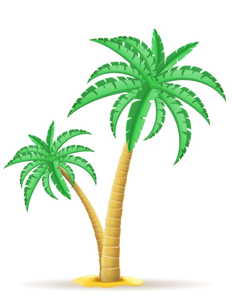 Illustratie van de palmboomvector — Stockvector
