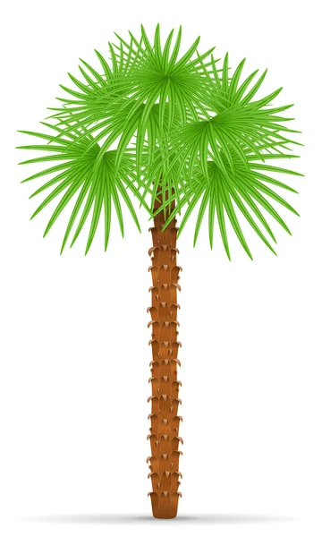 Illustratie van de palmboomvector — Stockvector