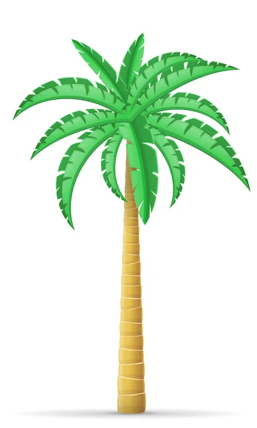 棕榈树矢量图解 — 图库矢量图片