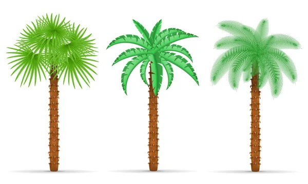 Palmera vector ilustración — Vector de stock