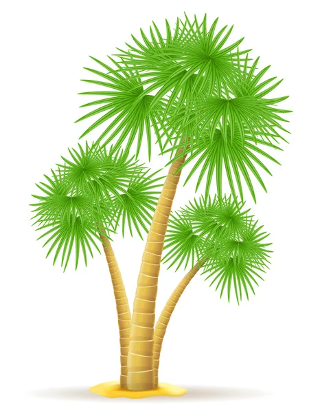 棕榈树矢量图解 — 图库矢量图片