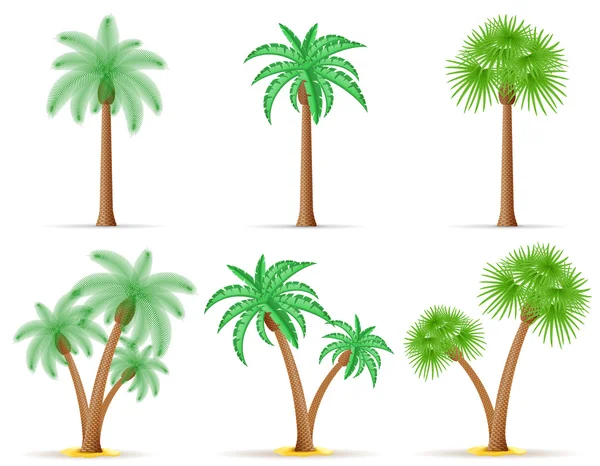 Palmera vector ilustración — Vector de stock