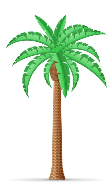 Ilustração do vetor palmeira — Vetor de Stock