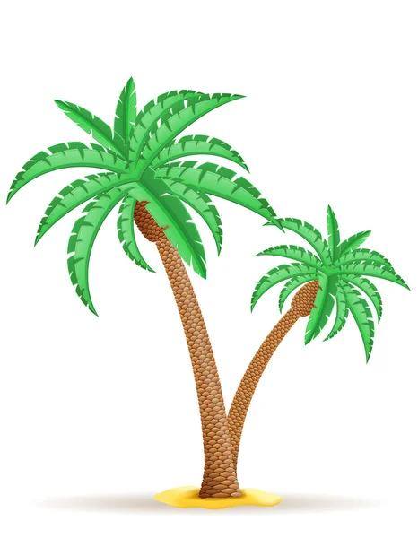 Palmera vector ilustración — Vector de stock