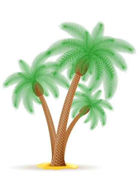 Ilustração do vetor palmeira — Vetor de Stock