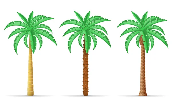 Illustratie van de palmboomvector — Stockvector