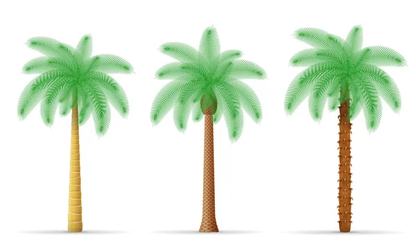 Illustratie van de palmboomvector — Stockvector