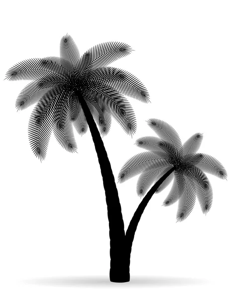 Palm tree black outline silhouette vector illustration — Stock Vector