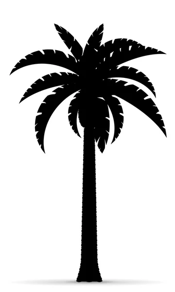 Palmera negro silueta silueta vector ilustración — Vector de stock