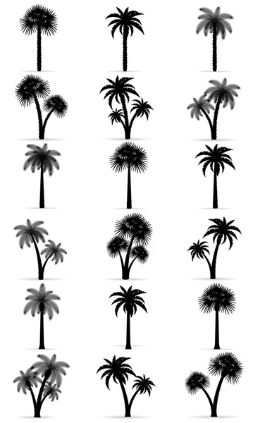 Palmowe drzewo czarną obwódką sylwetka wektor ilustracja — Wektor stockowy