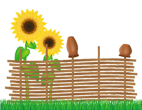 Flätade staket av kvistar med solrosor vektor illustration — Stock vektor