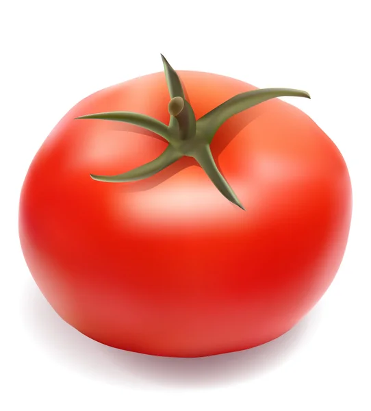 Tomato vector illustration — Stock Vector