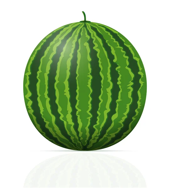 Vattenmelon mogna saftiga vektor illustration — Stock vektor