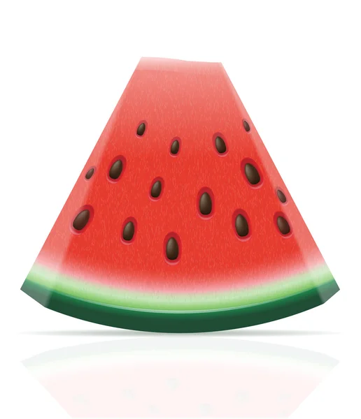 Watermeloen rijpe sappige vectorillustratie — Stockvector