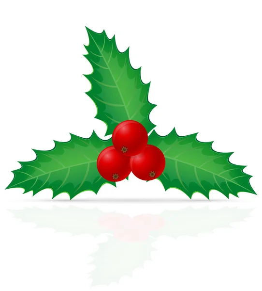 Navidad acebo berry vector ilustración — Archivo Imágenes Vectoriales