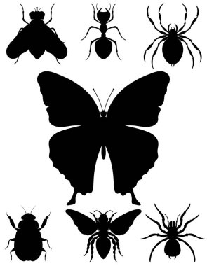 insects and bug wildlife animals cartoon stock vector illustration isolated on white background