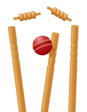 cricket ball caught in the wicket vector illustration clipart