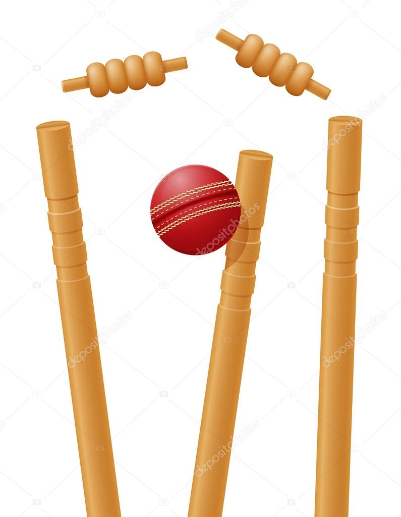 cricket ball caught in the wicket vector illustration