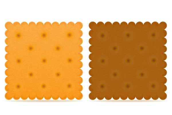 Biscoito crocante cookie vetor ilustração — Vetor de Stock