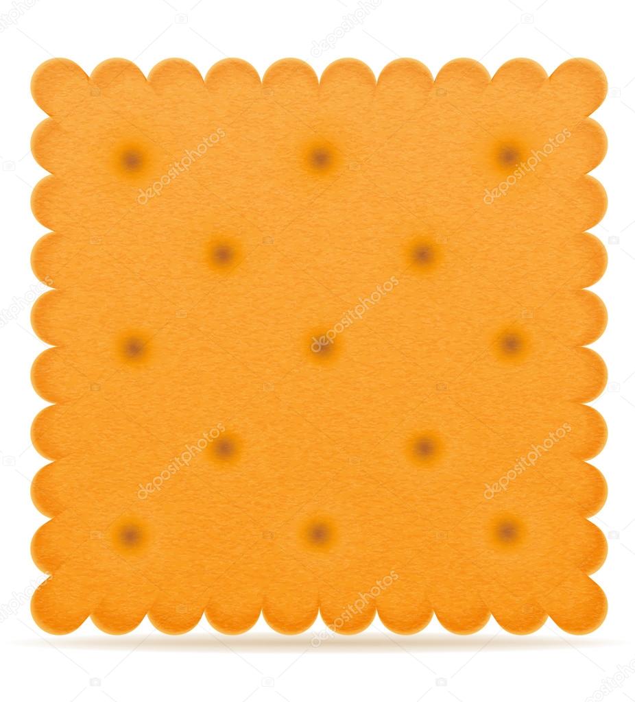 crispy biscuit cookie vector illustration