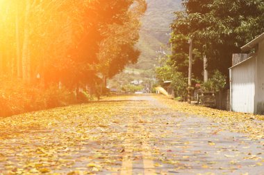 kırsal yol yaprakları ile