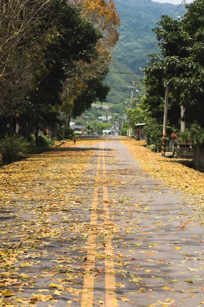 Landstraße mit Laub — Stockfoto