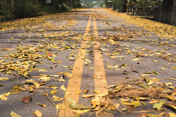 Countryside road with leaves — Stock Photo, Image