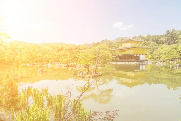 Kinkaku-ji Temple — Stock fotografie