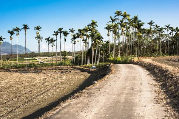 Route sans personne à la campagne — Photo