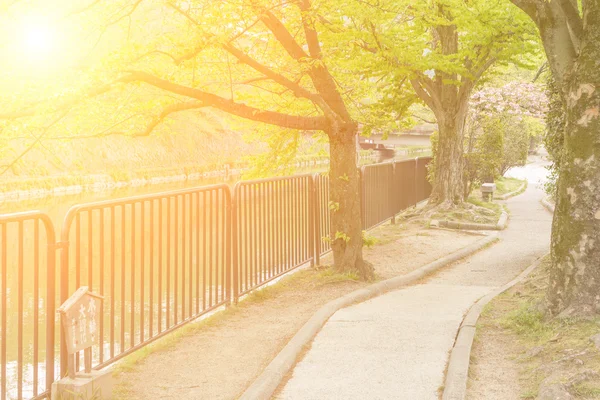 都市の風景 — ストック写真