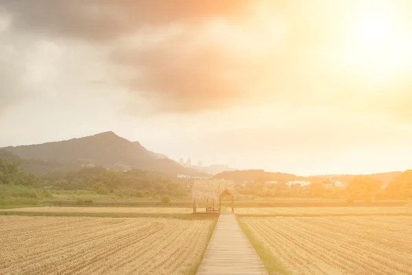 Road cross the farm — Stock Photo, Image